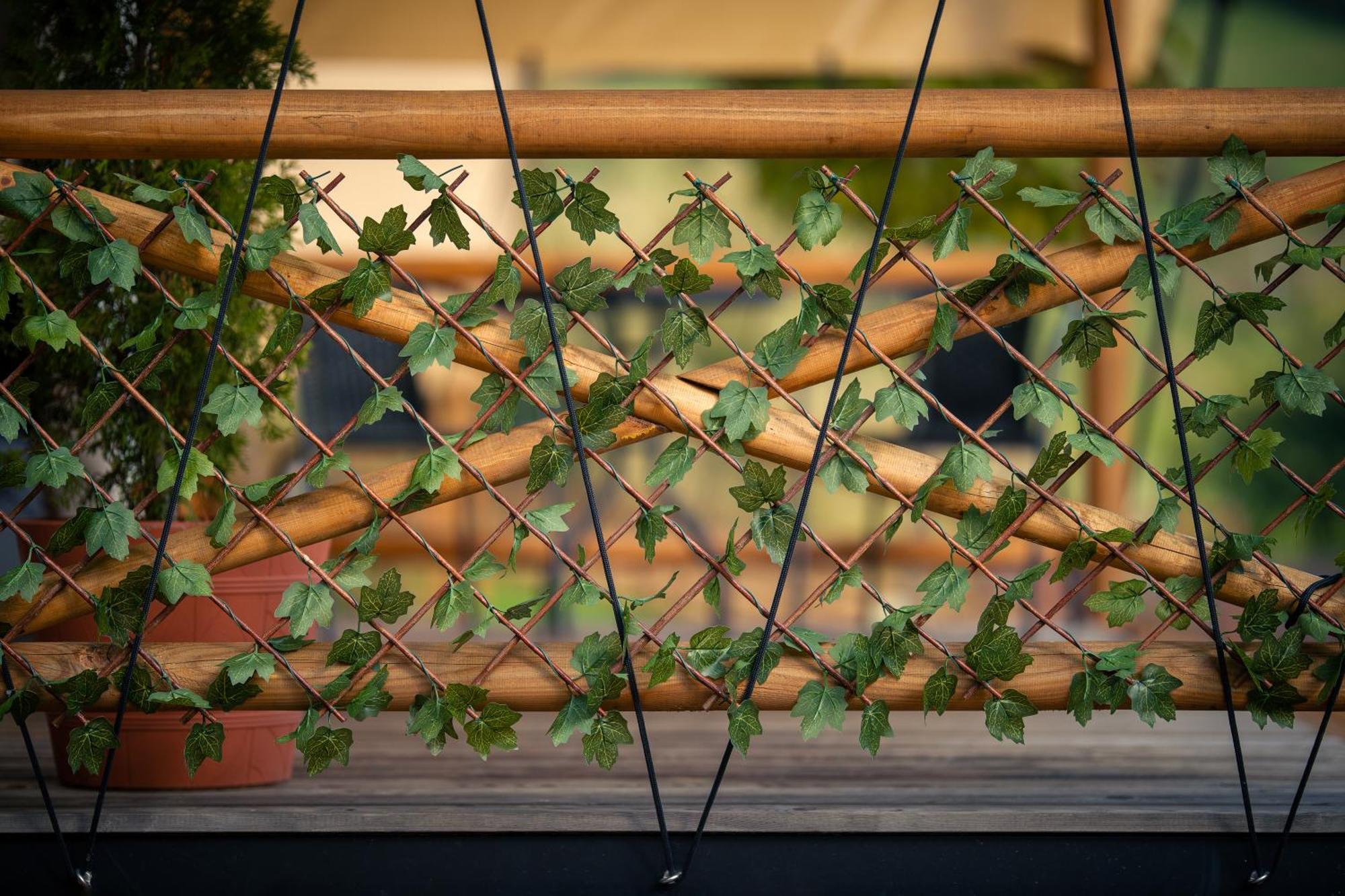 Glamping Pod Gwiazdami Pietrusza Wola Hotell Exteriör bild