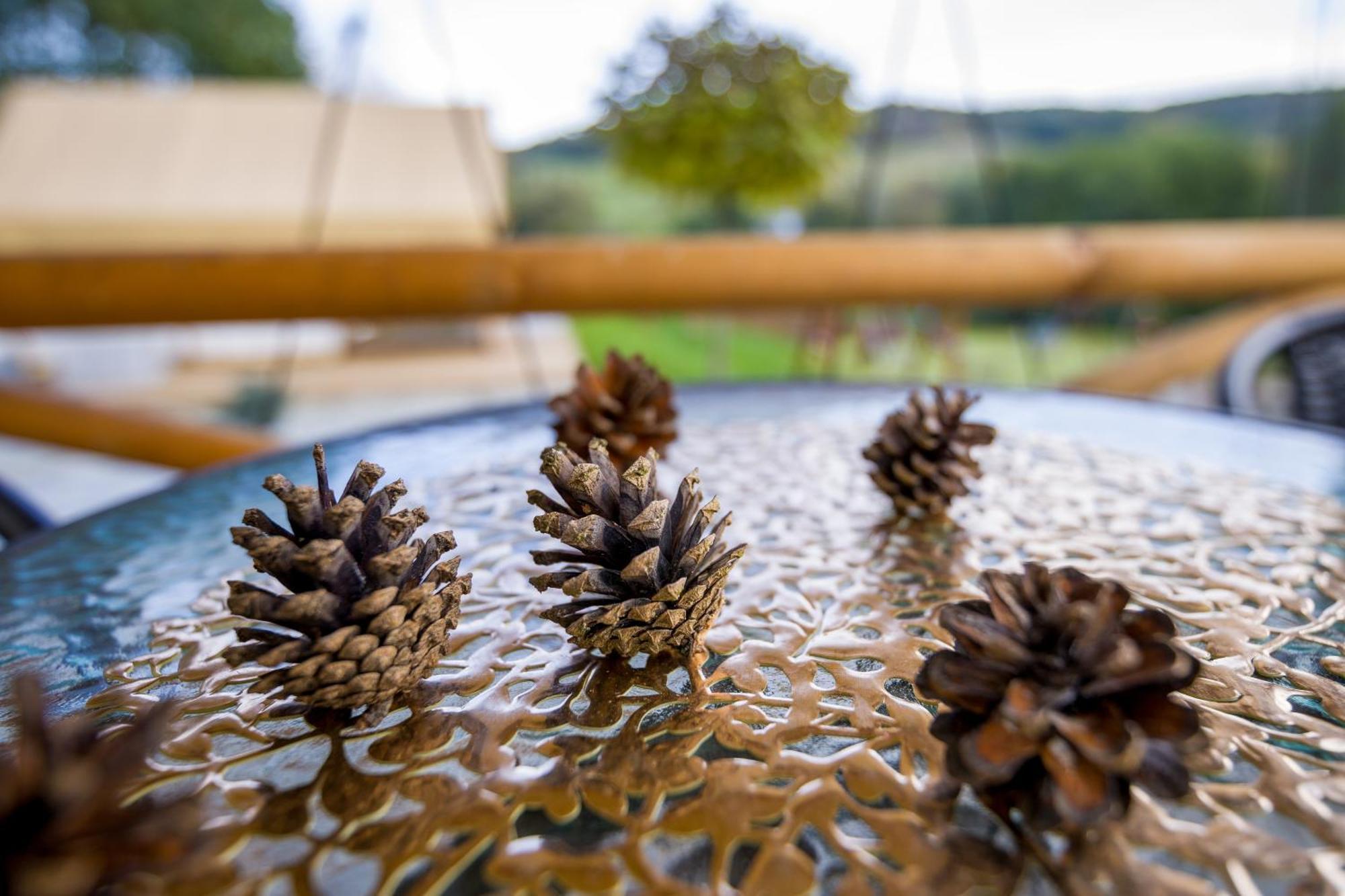 Glamping Pod Gwiazdami Pietrusza Wola Hotell Exteriör bild