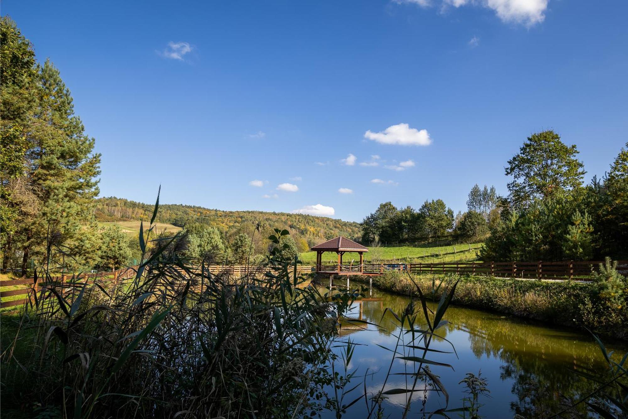 Glamping Pod Gwiazdami Pietrusza Wola Hotell Exteriör bild